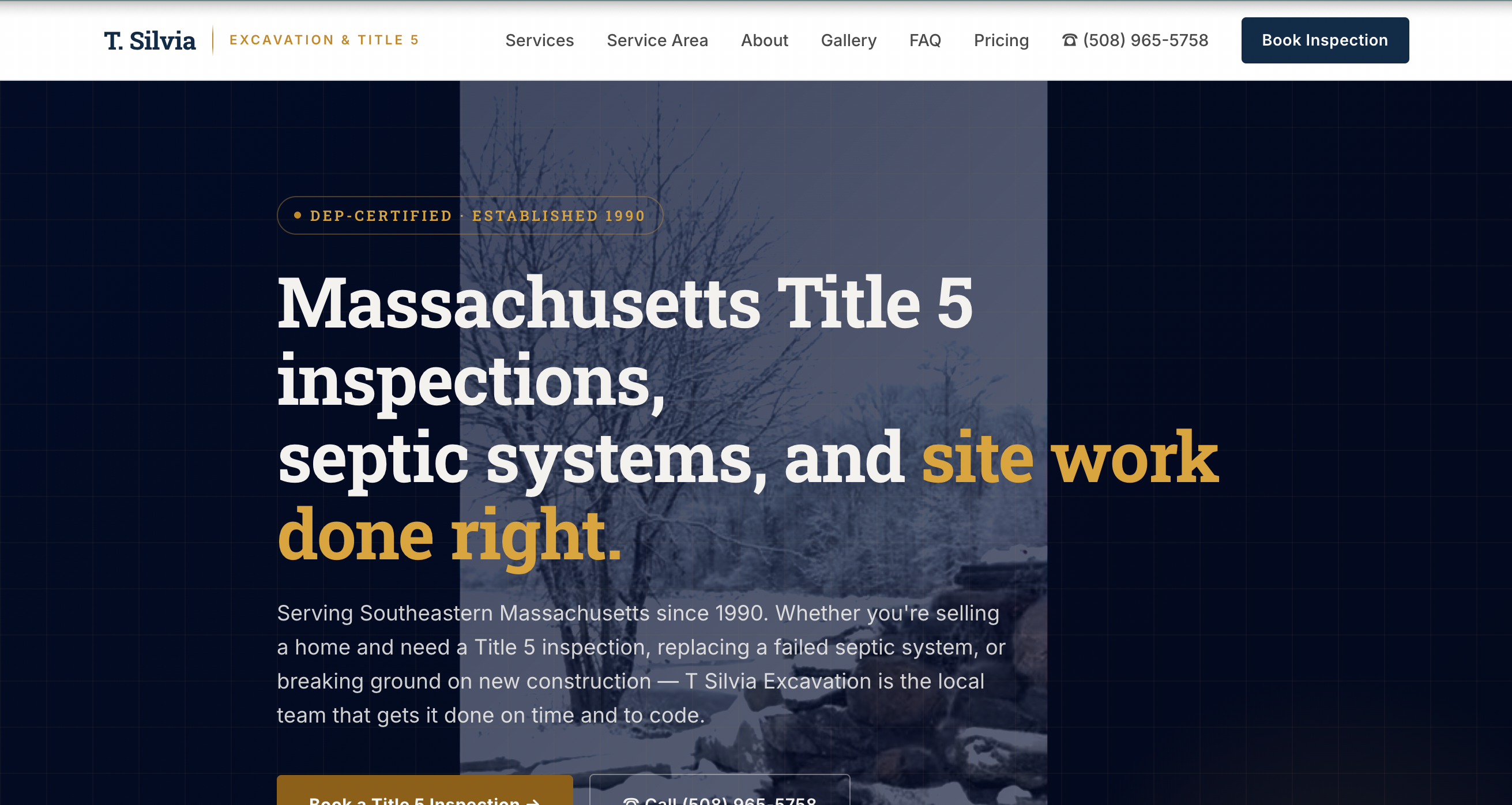 T Silvia website homepage